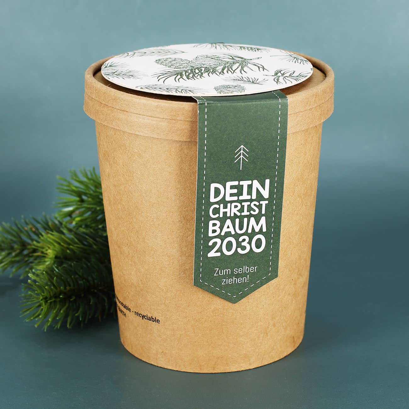 Christbaum zum selber ziehen für das Jahr 2030