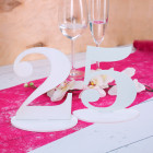Tischnummer 25 für Geburtstag oder  Silberne Hochzeit